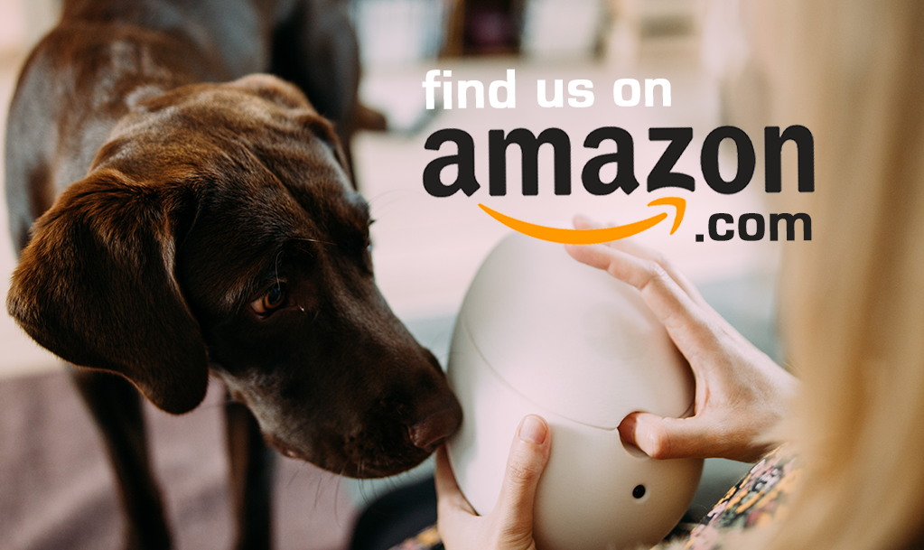 Go dog food amazon deals