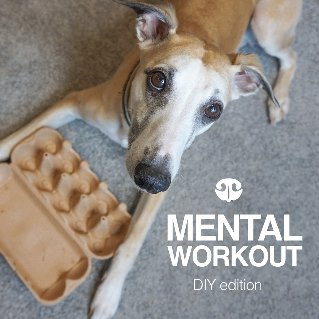 DIY GAMES – Go Dogo
