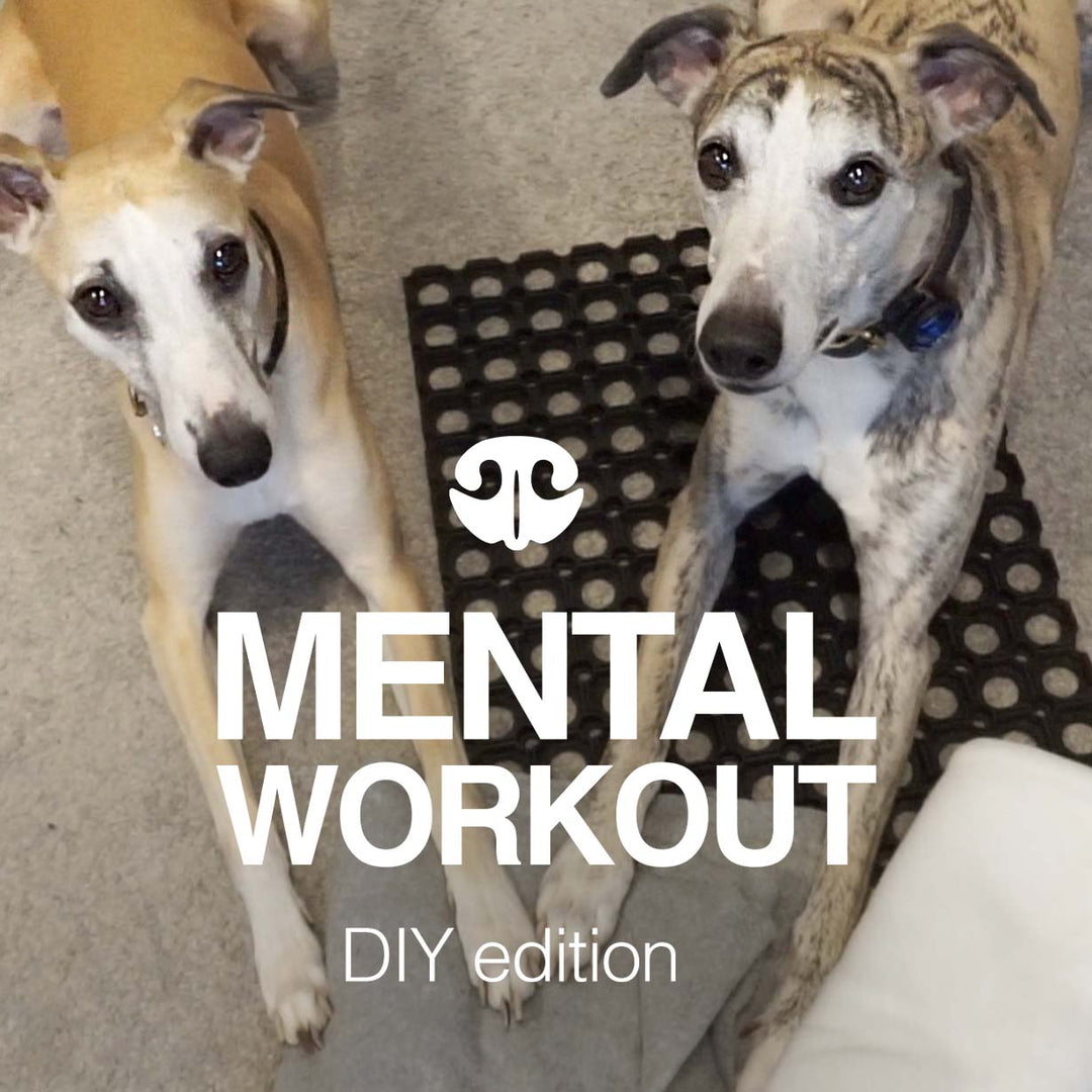 DIY GAMES – Go Dogo